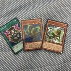 プレデタープランツのサムネイル