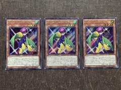 遊戯王 トゥーン・ハーピィ・レディ シークレット シク 3枚セット 遊戯王 トゥーンハーピィレディ シークレット シク 3枚セット - メルカリ