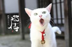 プロフ必見様専用のサムネイル