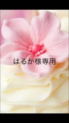 はるか様専用ページ♡のサムネイル