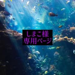 しまこ様 専用ページのサムネイル