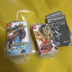 Pokémon Package & Cartridge Keychain Collection: Sword & Shield