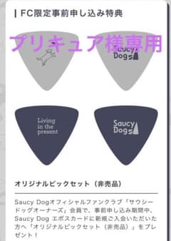 サウシードッグ非売品ピックのサムネイル