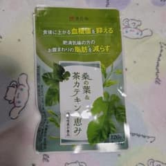 新品未使用 桑の葉 & 茶カテキン サプリメント 120粒のサムネイル