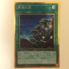 同胞の絆のサムネイル