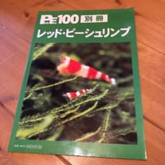 レッドビー・シュリンプのサムネイル