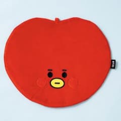 BT21 TATA 부채 케이스