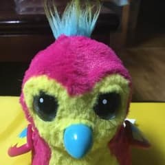 うまれてウーモのサムネイル