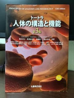 トートラ 人体の構造と機能 第3版 丸善出版のサムネイル