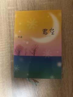 君空 美嘉 小説のサムネイル