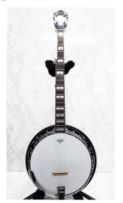 トーカイ Tokai バンジョー T-600R 城田じゅんじさんサイン入り トーカイ Tokai バンジョー T-600R 城田じゅんじさんサイン入り - メルカリ