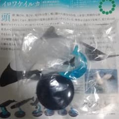 ネイチャーテクニカラー 400 クジラとイルカ イロワケイルカのサムネイル