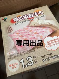 電気毛布 専用出品のサムネイル