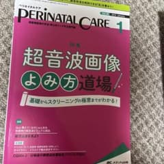 ペリネイタルケア 2019 1(vol.38 nのサムネイル