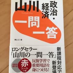 山川【政治経済】のサムネイル