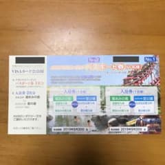 ナガシマスパーランド パスポート 券のサムネイル
