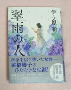 翠雨の人のサムネイル