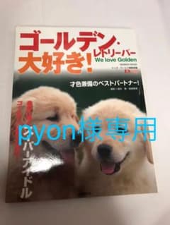 ゴールデン・レトリーバー大好き! : 金色に輝くスーパーアイドルゴールデンに誰…のサムネイル