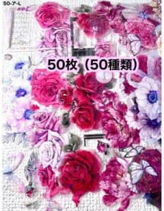50枚セット ラスト❗️海外PETマステ切り売りセット お花 50-L-オ 50枚セット 海外PETマステ切り売りセット お花 50-ア-L - メルカリ
