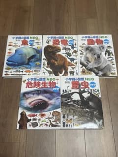 小学館の図鑑NEO 5冊セット 昆虫 魚 動物 恐竜 危険生物 新版 DVD 