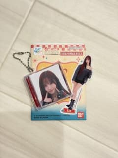 IVE フラットガシャポン ステッカーコレクション LIZ 値下げ⭕️のサムネイル