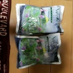 がっちゃん様専用のサムネイル