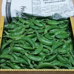 スナップエンドウB品800グラムのサムネイル