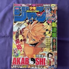 m15006163083_1.jpg?1732071449