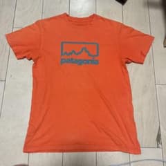 パタゴニア ロゴTシャツ オレンジ USA製 オーガニックコットンのサムネイル