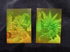 ゴジラ・スペースゴジラ 3D ホロカード (2枚セット) - メルカリ