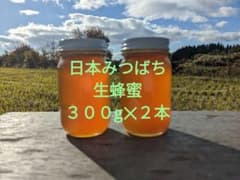 日本みつばち　生蜂蜜　国産純粋　日本蜜蜂蜂蜜　#2のサムネイル