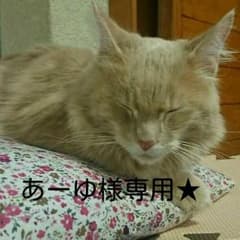 あーゆ様専用★のサムネイル