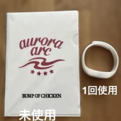 BUMP OF CHICKEN aurora ark クリアファイルザイロバンド