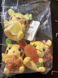 ポケモンセンターヒロシマ ピカチュウ マスコット 3種セット【新品タグ