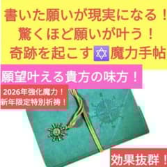 不可能が可能になる！ 書いた願いが現実に！ 座敷わらし 曰く付き 特級