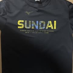 MIZUNO 駿台学園 男子バレーボール部 Tシャツ - メルカリ