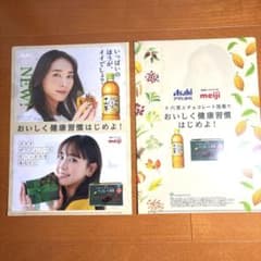 新垣結衣 ガッキー Asahi飲料 meiji クリアファイル（2枚セット