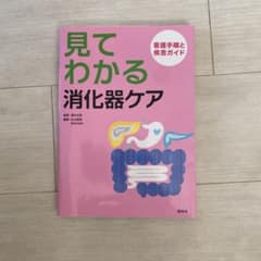 見てわかる消化器ケア 看護手順と疾患ガイドのサムネイル