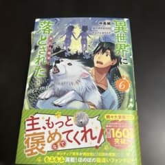 異世界に落とされた…浄化は基本！@COMIC 第6巻 (CORONA COMI…のサムネイル