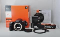 【動作品　シャッター数11157枚】SONY α55 ボディ SLT-A55V 動作品 シャッター数11157枚】SONY α55 ボディ SLT-A55V - メルカリ