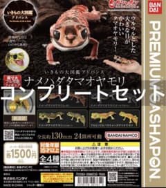 いきもの大図鑑アドバンス ナメハダタマオヤモリ 全4種類セット【新品】のサムネイル