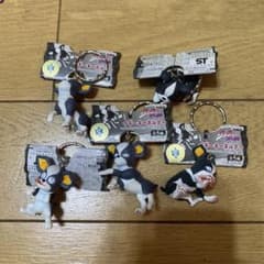 m15069901886_1.jpg?1763160797