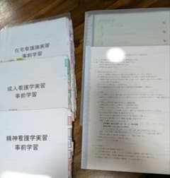 看護実習 事前学習 まとめセット 手書きルーズリーフのサムネイル