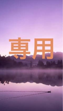 スタイルフィット 替芯 10本セットのサムネイル