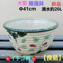 新品 ∅41 陶器 睡蓮鉢 メダカ鉢 手書き絵 イチゴ柄 手造り 高級 5LSC