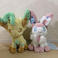 m15092811485_1.jpg?1765503130