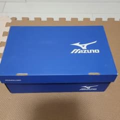 Mizuno ミズノ LD50V 25.5 GORE-TEX ゴアテックス 黒のサムネイル