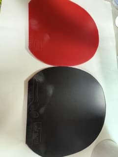 ディグニクス09c特厚2枚セットのサムネイル