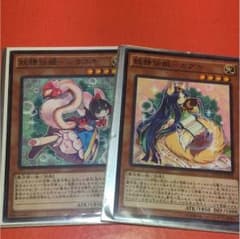 妖精 伝姫 シラユキ カグヤ セットのサムネイル