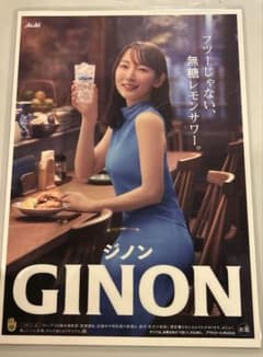 吉岡里帆アサヒGINON (ジノン) 『非売品』 A4サイズ - メルカリ
